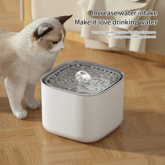Hydrate Happy Cat Fountain™