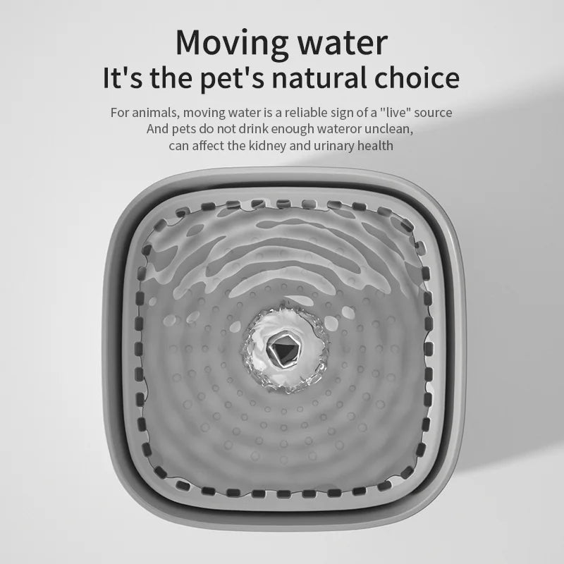 Hydrate Happy Cat Fountain™